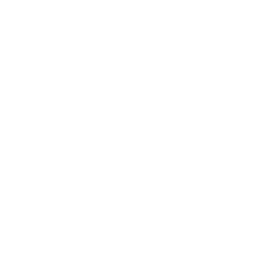 carpet-cleaner icon